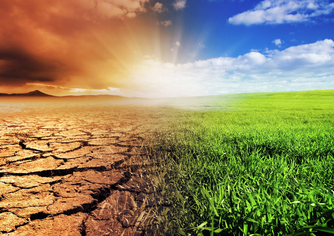 Are You Spiritually Dry? There's a Way Out